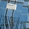 картинка Baby Blue Check от магазина  Mykilt