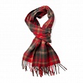 картинка Dark maple от магазина  Mykilt