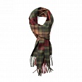 картинка Edinburgh Buchanan Autumn от магазина  Mykilt