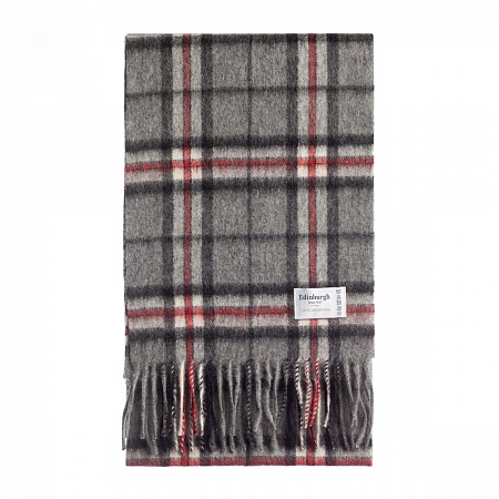 картинка Thomson Grey от магазина  Mykilt